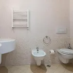 Excelsior קאטוליקה